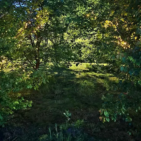 Siedlisko *